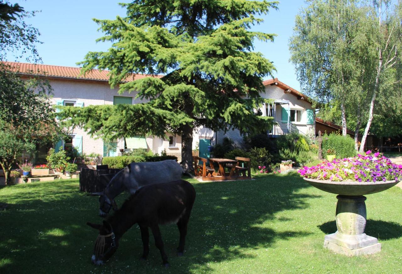Bed and Breakfast La Ferme De Capucine Culhat Exteriér fotografie